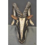 West African polychrome decorated carved wooden antelope or ram's head mask or headdress. Bobo