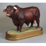 Royal Worcester porcelain study of 'Santa Gertudis bull' modelled by Doris Lindner on oval wooden