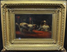 After George Armfield (British 19th Century), two King Charles Cavalier Spaniels, oils on canvas, 25