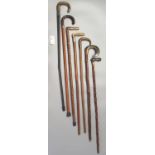 Good collection of vintage walking sticks, some with horn handles, silver mounts and one with