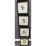 Viv Kersey (British 20th century), studies of sparrows, no's II, III & VI. Limited edition