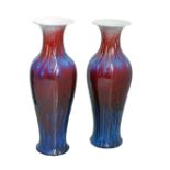 Chinese porcelain vases.