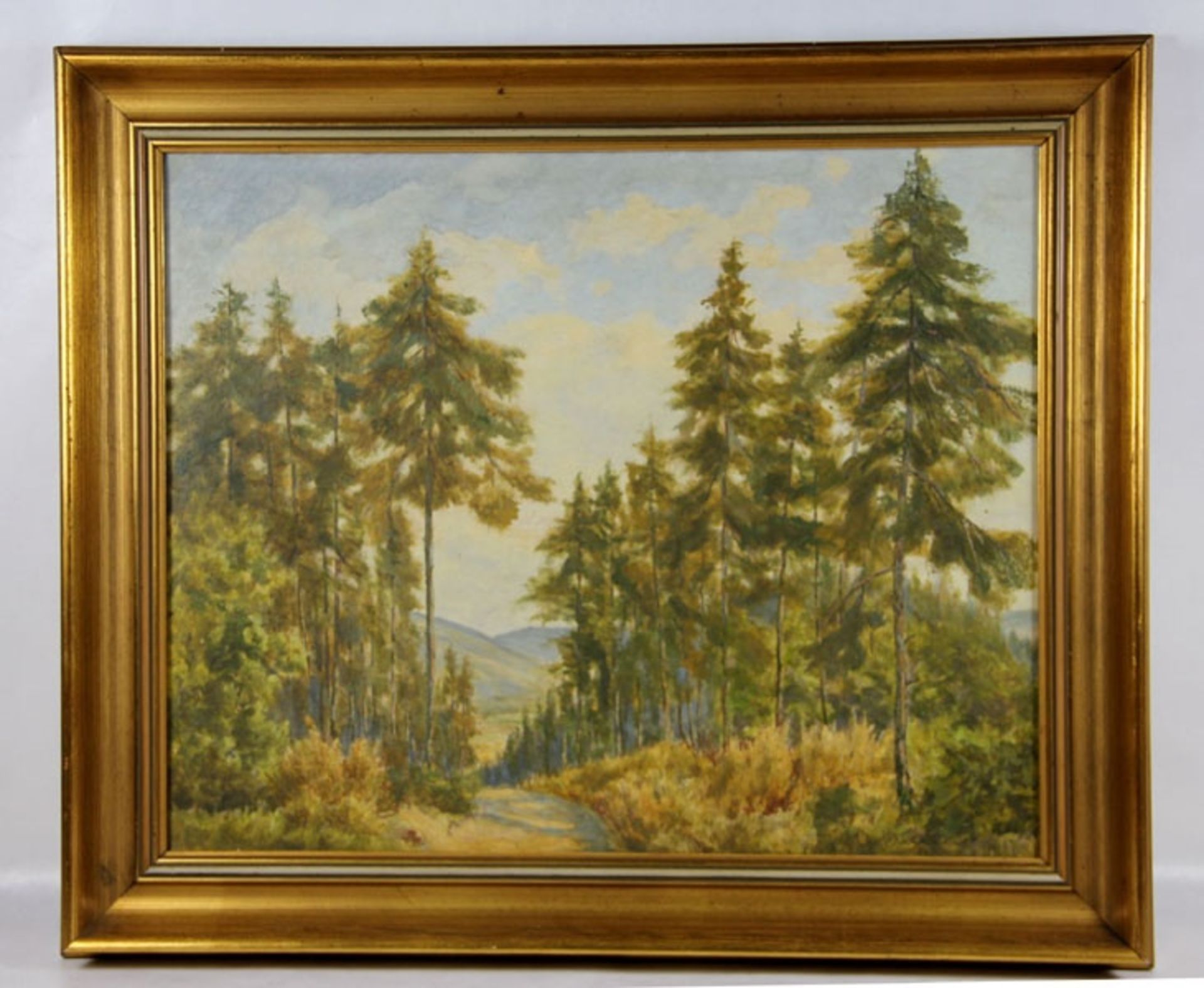 Unbekannter Künstler20. Jhd., Blick im Werratal Thüringen, sonnige Waldpartie, unten rechts
