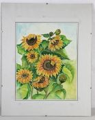 Unbekannter Künstler20. Jhd., Aquarell, leuchtend gelbe Sonnenblumen, unten rechts undeutl.