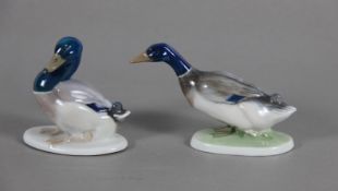 Konvolut Rosenthal-Enten