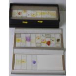 Microscope Slides