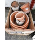 Terracotta Pots in Wooden Crate