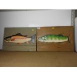 Fish Paintings on Wood Panels