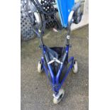 Folding Mobility Walker