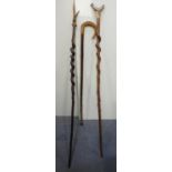 Walking Sticks and Crook