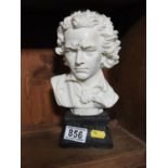Beethoven Bust