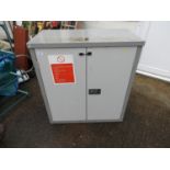 Metal Two Door Cabinet