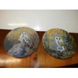 Owl Collectors Plates