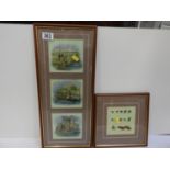 Framed Fishing Fly's and Fishing Print