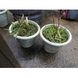 Pair of Glazed Garden Planters