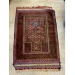 Hand Knotted Rug