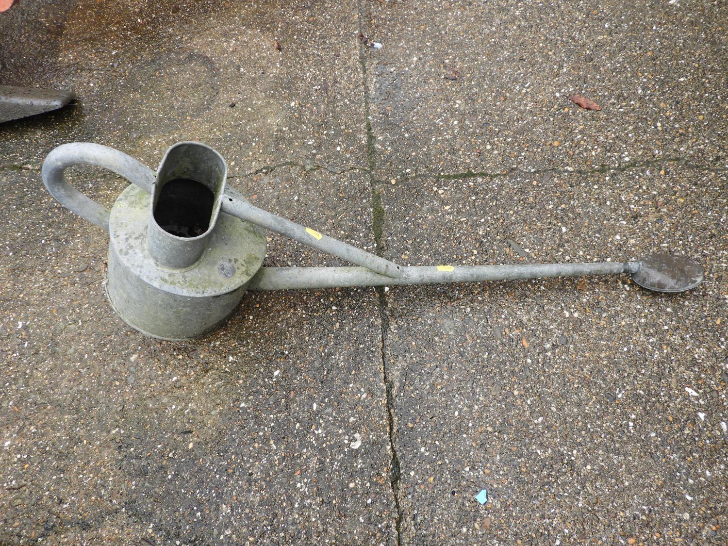 Galvanised Watering Can with Rose