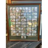 Framed Cigarette Cards - Game Birds and Wild Fowl 1927