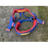 Williams Safety Harness