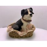 Leonardo Collection Dog in Basket - 28cm High