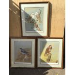 Quantity of David Andrews Limited Edition Bird Prints - See Extras Pictures