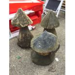 3x Tree Stump Mushrooms