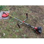 Kawasaki Strimmer