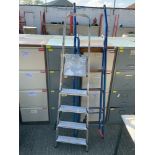 2x Step Ladders