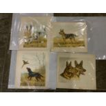 4x Open Edition Prints of Dogs Signed by American Artist Paul Wood