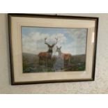 Framed Painting Signed Suzanne Bailey - 83cm x 64cm