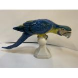 Czechoslovakian Porcelain Parrot - 20cm High x 40cm Wide Royal Dux