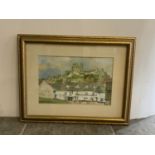 Signed Framed Watercolour - Daphne Lough