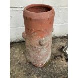 Terracotta Rhubarb Forcer - 58cm H