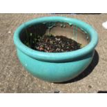 Glazed Planter