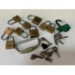 Quantity of Small Padlocks