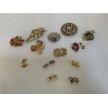 Vintage Brooches and Earrings