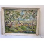 Oil on Board - Olive Trees Signed Gaussen