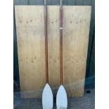 Boat Oars