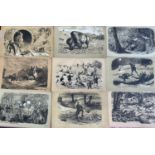 20x Tinted Lithographs - Fores Sporting Sketches c1895