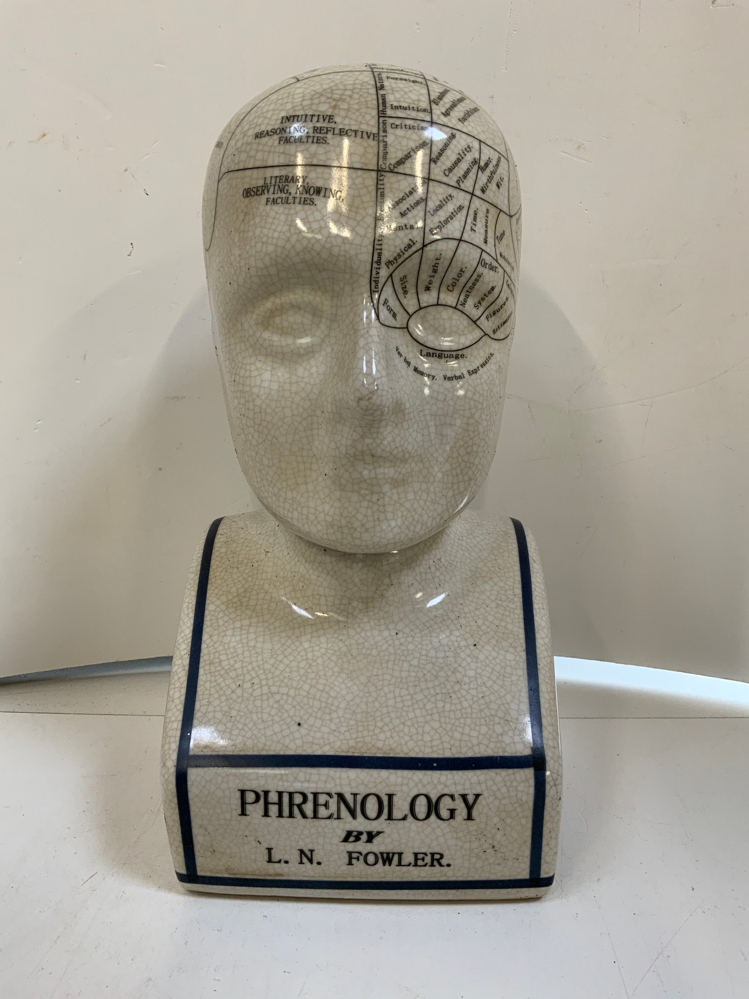 Phrenology Head