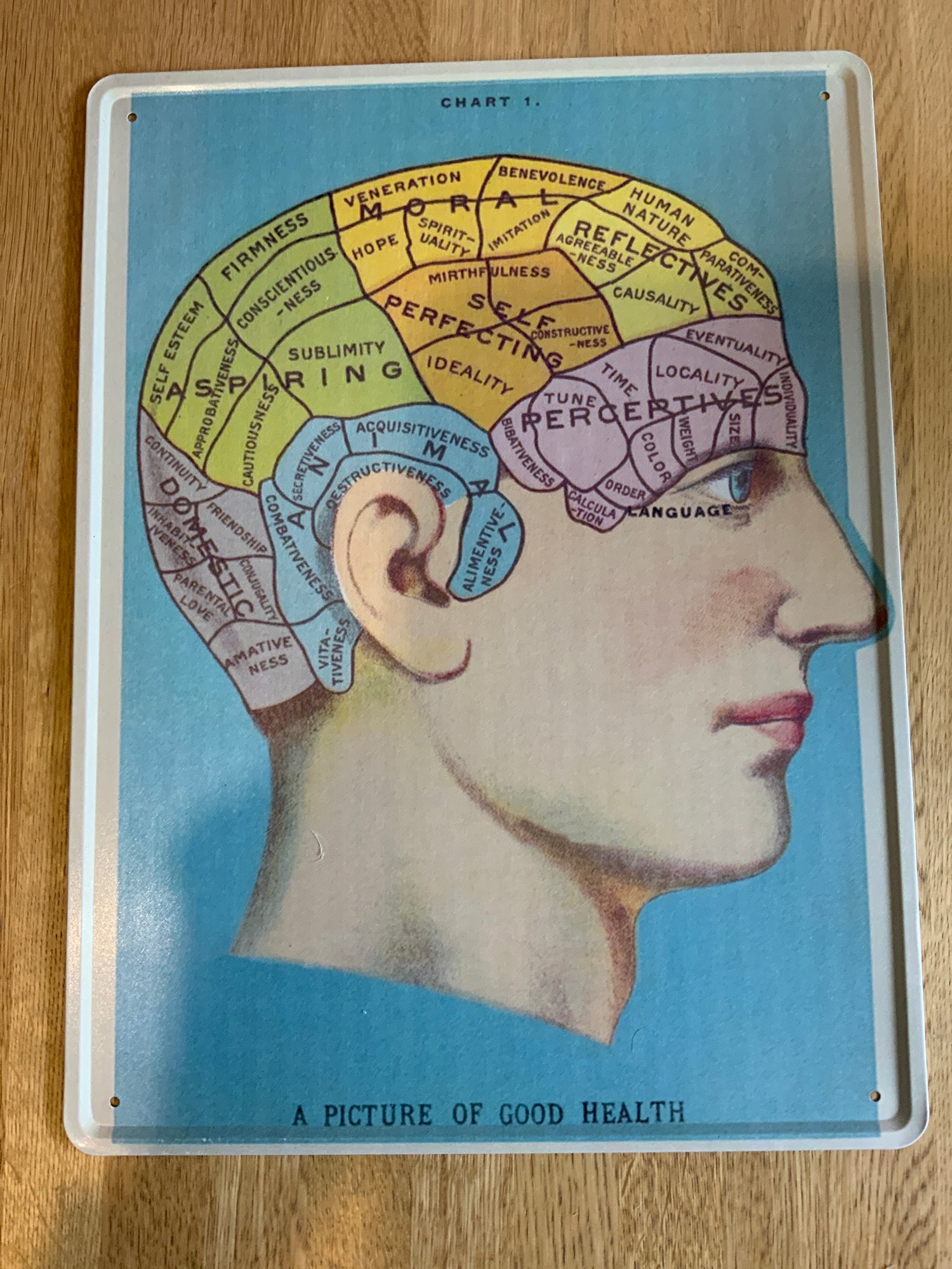 Reproduction Sign - Phrenology