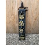 Horse Brasses on Leather Strip