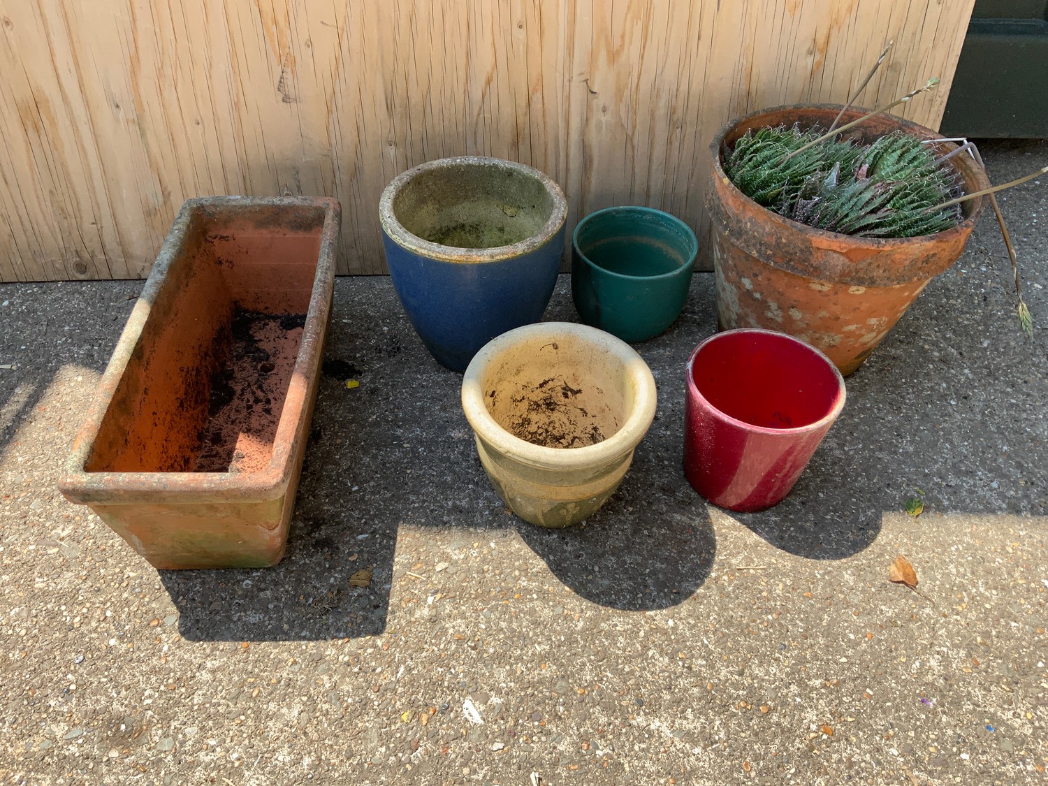 Terracotta and Other Plant Pots