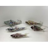 5x Glass Fish