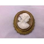 Large 9ct Gold Framed Cameo/Brooch Pendant