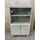 Painted Glazed Cupboard