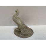 Peacock Garden Ornament - 25 cm High