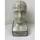 Phrenology Head