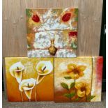 3x Canvas Pictures