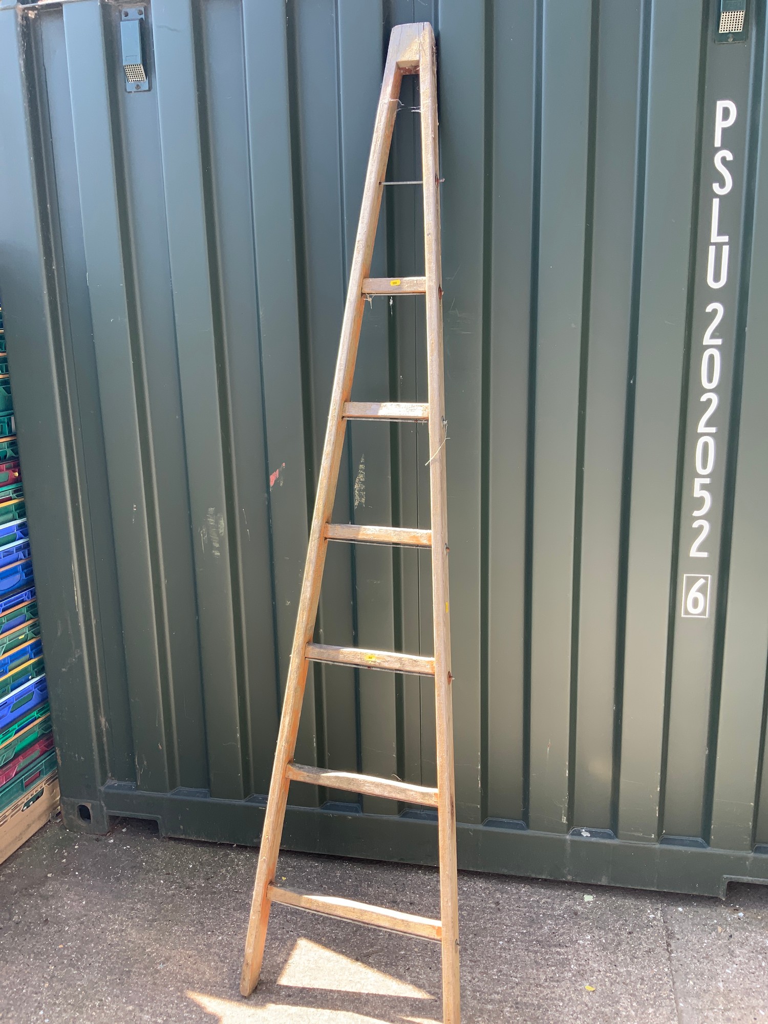 Vintage Orchard Ladder